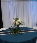 Back Drop and Arch Rentals in the Victoria Texas area.