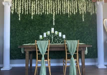 Back Drop and Arch Rentals in the Victoria Texas area.