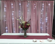 Back Drop and Arch Rentals in the Victoria Texas area.