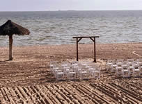 Back Drop and Arch Rentals in the Victoria Texas area.