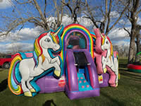 Inflatable Castle in the Victoria Texas area.