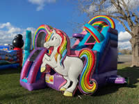 Inflatable Castle in the Victoria Texas area.