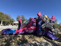 Inflatable Unicorn Bounce House in the Victoria Texas area.